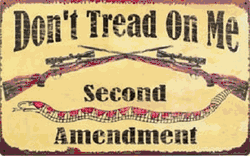 Second Amendment Sign