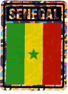 Senegal Vinyl Reflective Decal