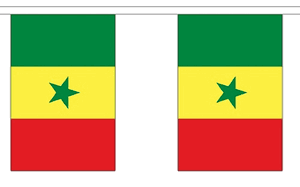 Senegal String Flag 10′ Bunting
