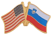 Slovenia Flag Lapel Pin - Double