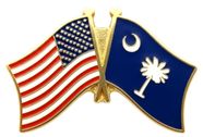 South Carolina Flag Lapel Pin - Double