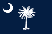 South Carolina State Nylon  Flags - All Popular Sizes