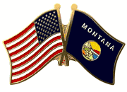 State Flag Lapel Pins - Double Flag