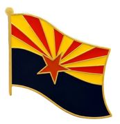 State Flag Lapel Pins - Single Flag