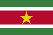 Suriname Polyester 3x5