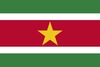 Suriname Polyester 3x5