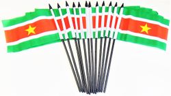 Suriname 4"x6" Polyester - 12 Pack