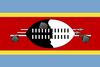 Swaziland Polyester 3x5