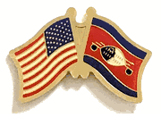 Swaziland Flag Lapel Pin - Double