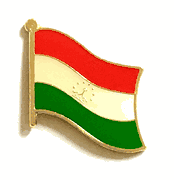 Tajikistan Flag Lapel Pin - Single