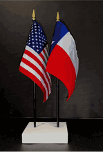 Texas and US Flag Desk Set