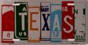 Texas Art Brushed License Plate
