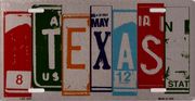Texas Art Brushed License Plate
