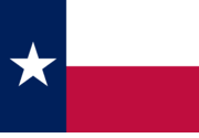 Texas Polyester 3'x5'
