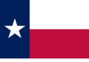 Texas Polyester 3'x5'