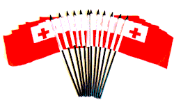 Tonga 4"x6" Polyester - 12 Pack