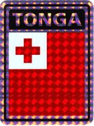 Tonga Vinyl Reflective Decal