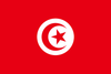 Tunisia Polyester 3x5