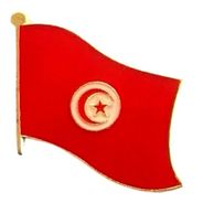 Tunisia Flag Lapel Pin - Single
