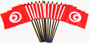 Tunisia 4"x6" Polyester - 12 Per Pack