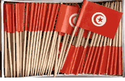 Tunisian Toothpick Flags