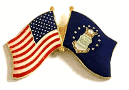 U.S. Air Force Flag Lapel Pin - Double