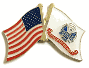 U.S. Army Flag Lapel Pin - Double