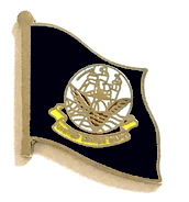 U.S. Navy Flag Lapel Pin - Single