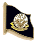 U.S. Navy Flag Lapel Pin - Single