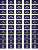 U.S. Navy Flag Stickers - 50 per sheet