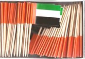 United Arab Emirates  Flag Toothpicks