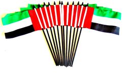 United Arab Emirates 4"x6" Polyester - 12 Per Pack