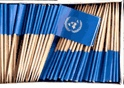 United Nations Flag Toothpicks