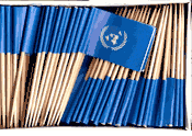 United Nations Flag Toothpicks