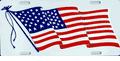United States Flag License Plate