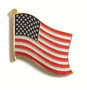United States Lapel Pins
