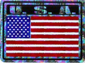 United States of America Vinyl Reflective Decal - Horizontal
