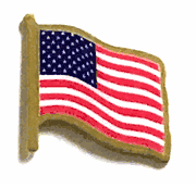 United States Wavy Lapel Pin - Made in USA