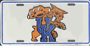 University of Kentucky Wildcats