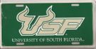 University of South Florida
