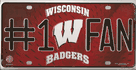 University of Wisconsin