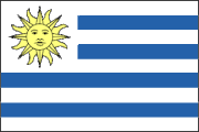 Uruguay Polyester 3x5