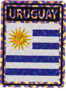 Uruguay Vinyl Reflective Decal