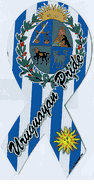 Uruguayan Pride Car Ribbon Magnet