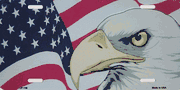 US Flag With Eagle License Plate