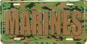 US Marines Camo