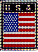 US Vinyl Reflective Decal