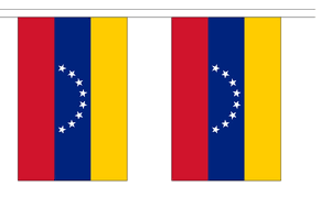 Venezuela String Flag Bunting