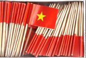 Vietnam Flag Toothpicks