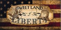 Vintage Land of Liberty Canvas